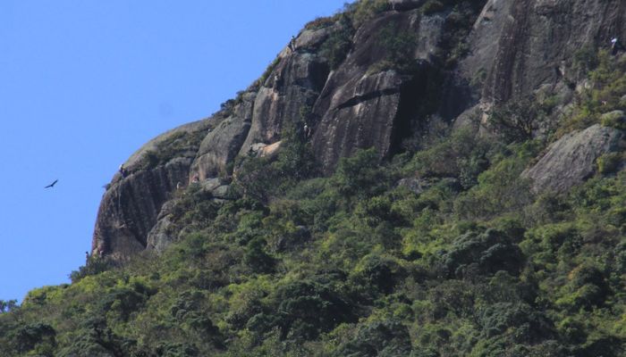  Temporada de montanhas no Paraná: veja dicas para garantir um passeio seguro 